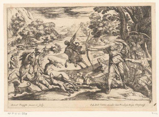 Hunting of stags