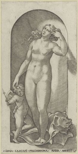 Venus