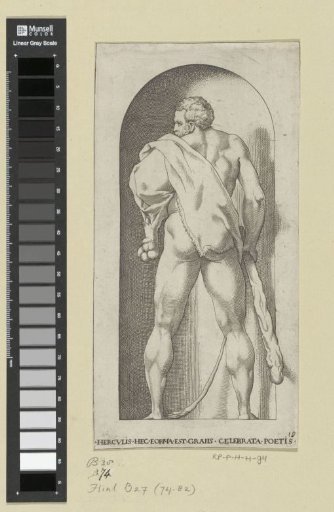 Hercules