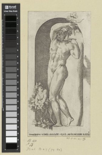 Bacchus