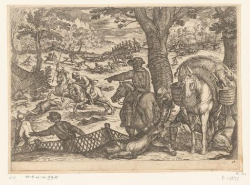 Hunt for boars