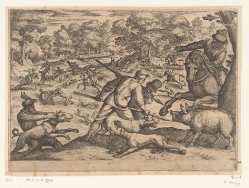 Hunting of wild boars and wolves