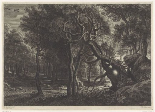 Forest landscape with hunter