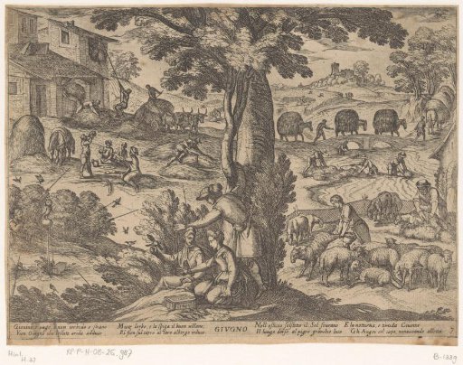 June: shearing sheep (Cancer)