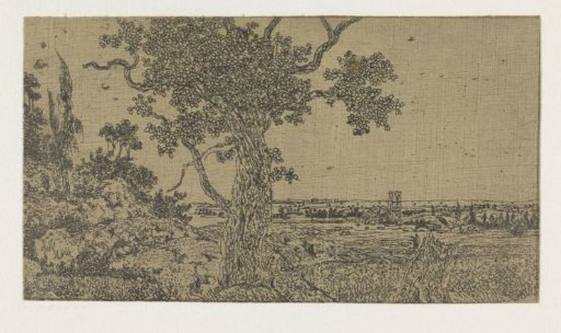 Landscape with an Oak Tree and a Distant View