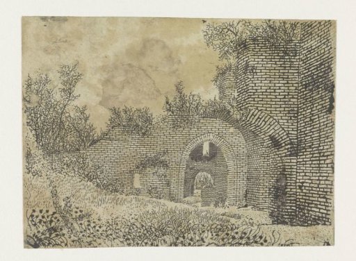 Ruins of Brederode Castle