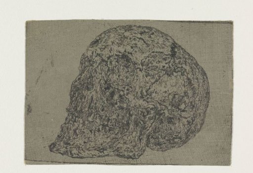 A Skull