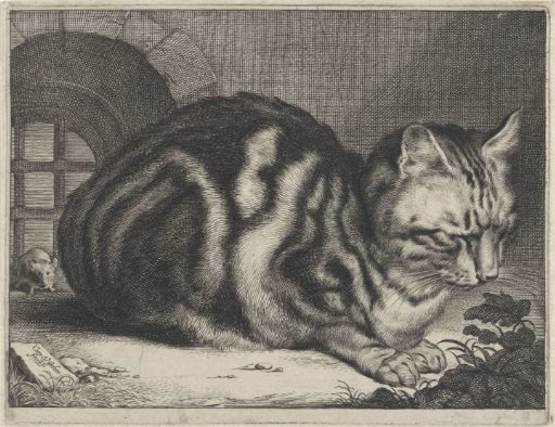 The Large Cat