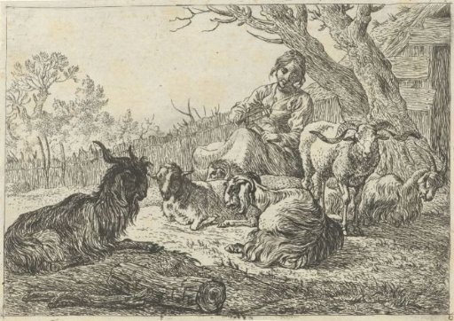 Shepherdess among goats and sheep