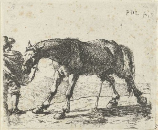 Urinating horse