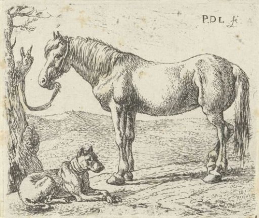 Horse and dog in a meadow