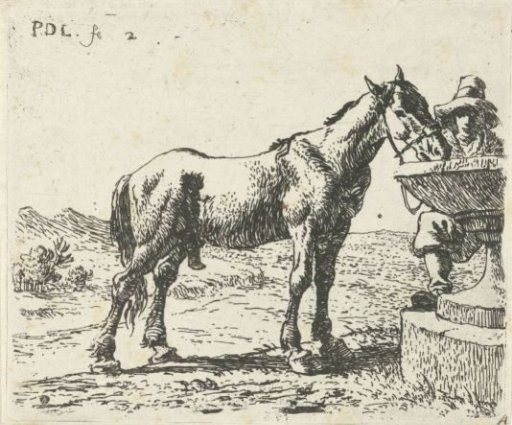 Drinking horse