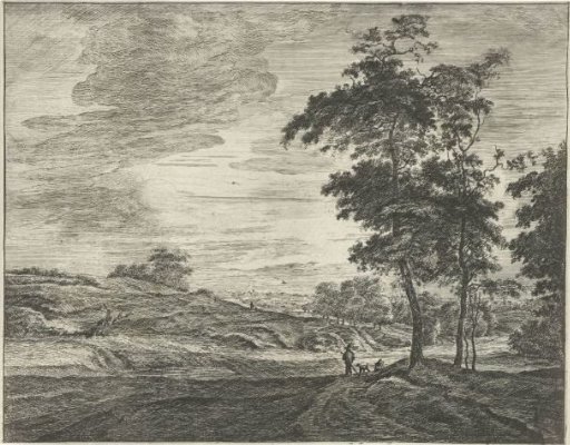 At the Edge of the Hague Forest