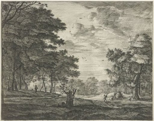 Walker in the Hague Forest