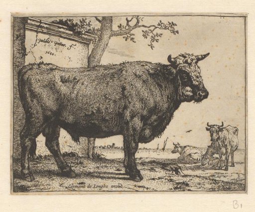 Bull