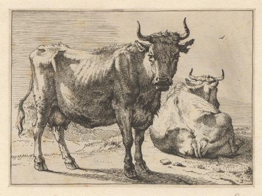 Standing and lying cow