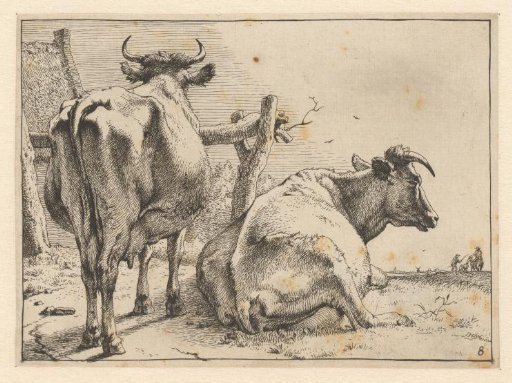 Two cows seen from behind