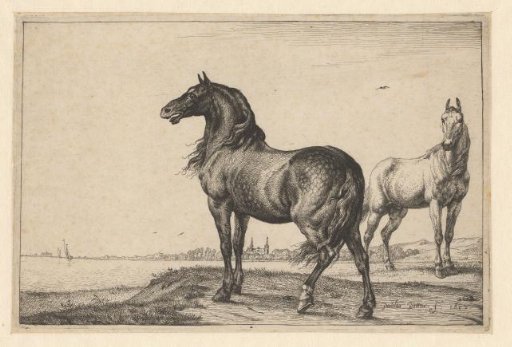 Neighing horse