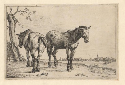 Two plough horses