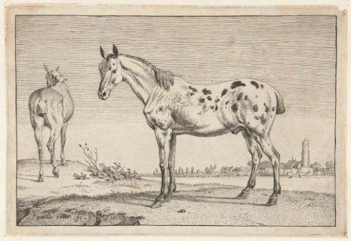 The docked horse
