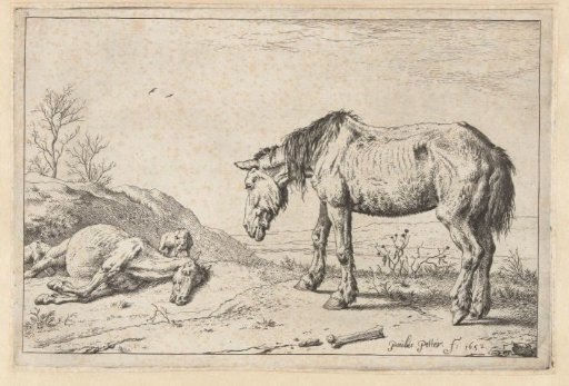 The dying horse