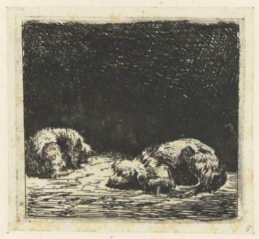 Sleeping Dog and Cat