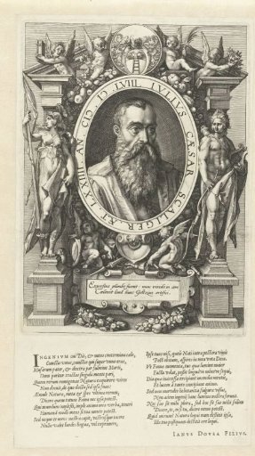 Portrait of Julius Caesar Scaliger