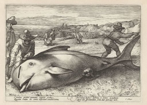 Two Men Measuring a Stranded Whale