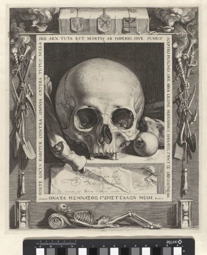 Vanitas Still Life with Skull