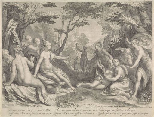 Diana Discovers the Pregnancy of Callisto