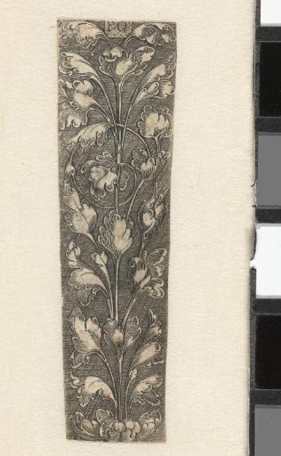 Fragment of an ornament