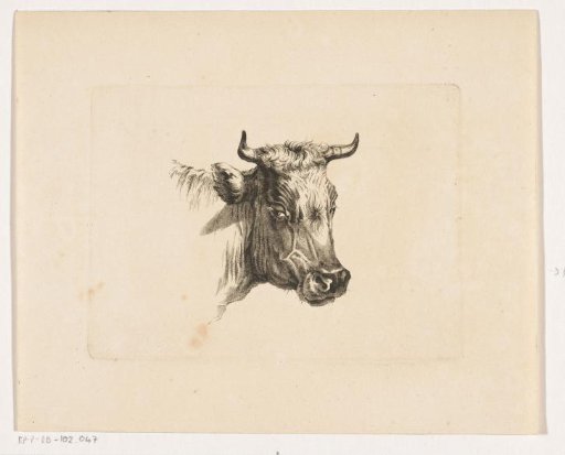 Cow's head facing right