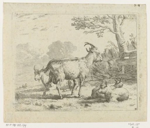 Four goats