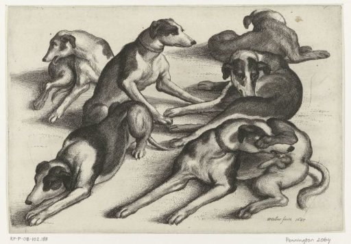Six Lying Hunting Dogs