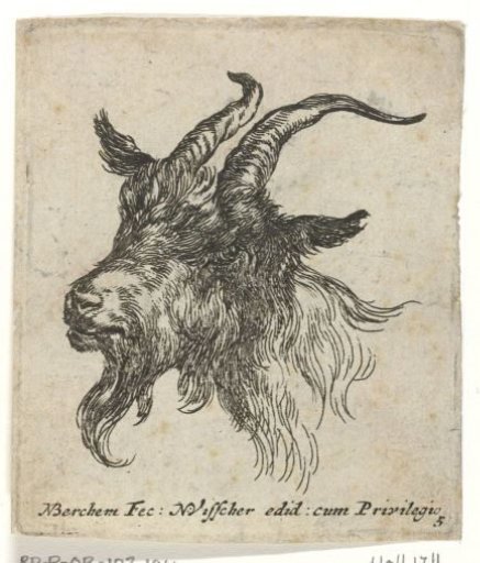 Head of a goat