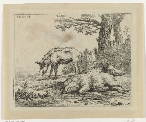 Three Pigs by a Hedge