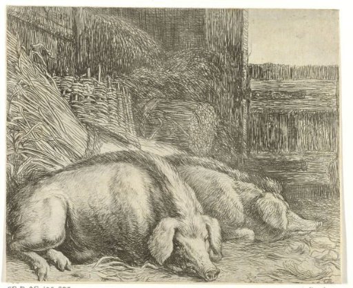 Two Pigs