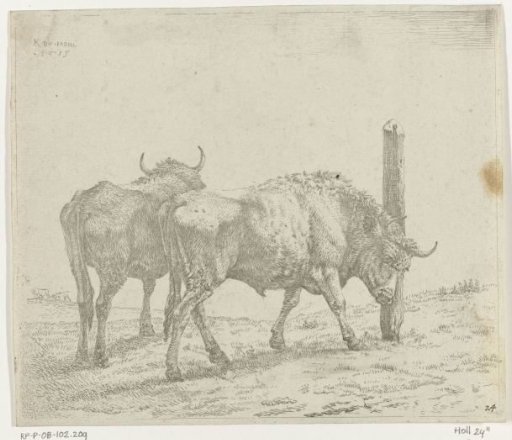 Two Oxen, One Rubbing Its Head Against a Post