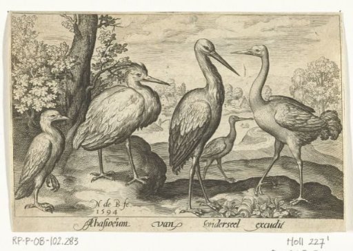 Stork, crane, heron, and spoonbill