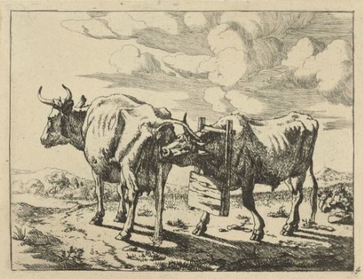 Two Standing Cows