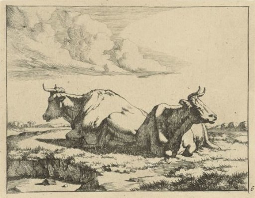 Two Recumbent Cows