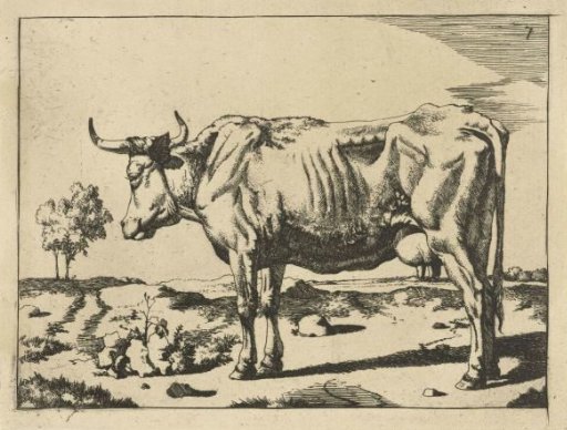Standing Cow, with Tree