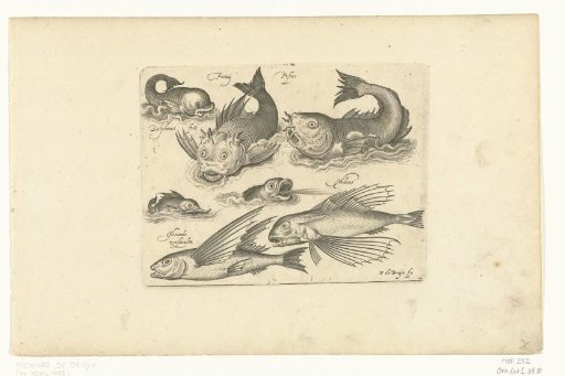 Fantastic water creatures, including dolphin and porpoise