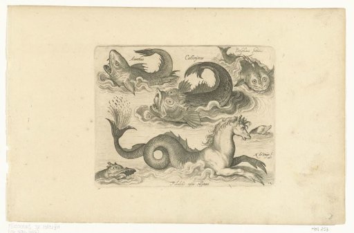 Fantastic water creatures, including seahorse