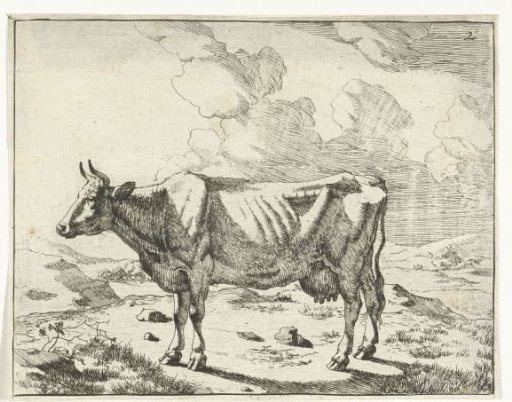 Standing cow under a cloudy sky