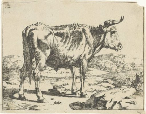 Bull standing by a rock