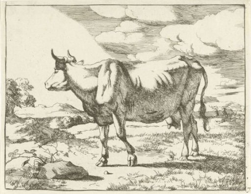 Standing cow facing left
