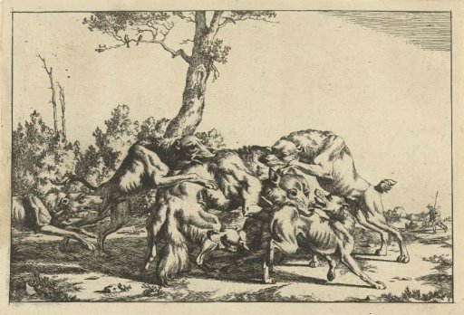 A Wolf Attacked by Five Hunting Dogs