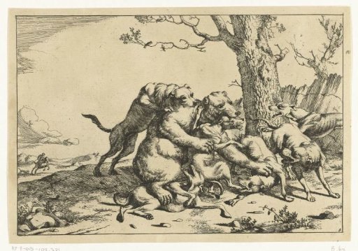 Bear fighting six hunting dogs