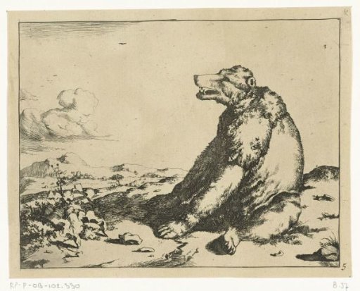 Sitting bear, in profile